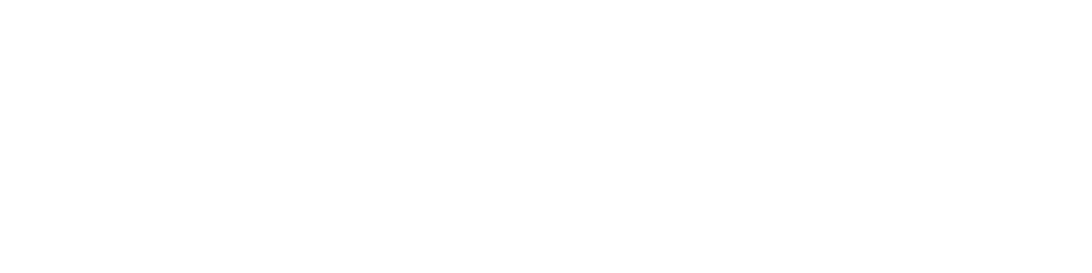 AVS Motors